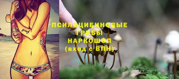ГАЛЛЮЦИНОГЕННЫЕ ГРИБЫ Алексин