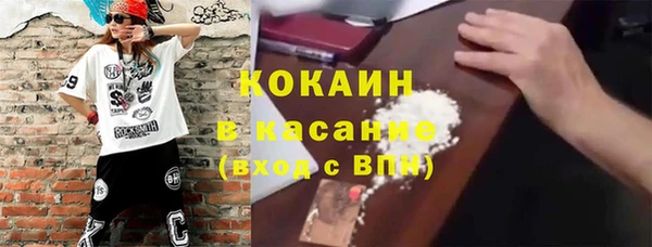 ГАЛЛЮЦИНОГЕННЫЕ ГРИБЫ Алексин
