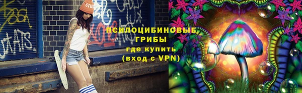 ГАЛЛЮЦИНОГЕННЫЕ ГРИБЫ Алексин