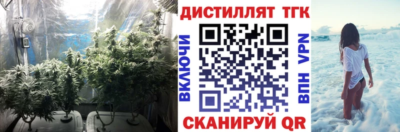ТГК THC oil  площадка наркотические препараты  Лениногорск 