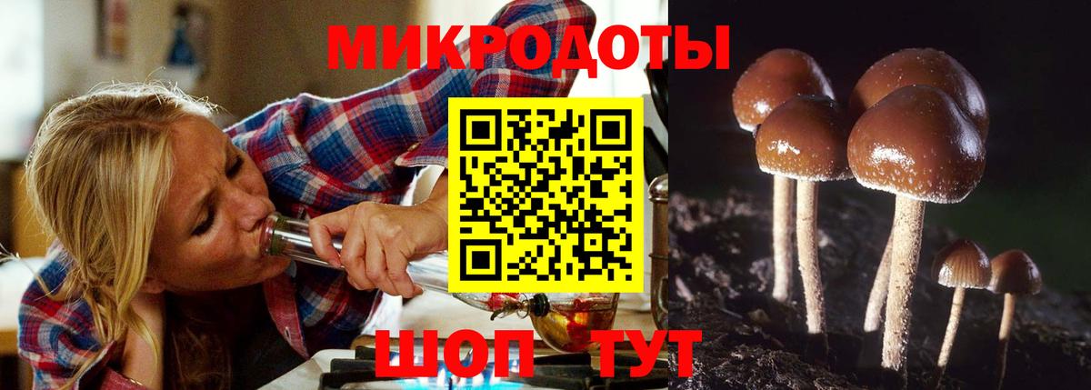 Галлюциногенные грибы ЛСД Лениногорск